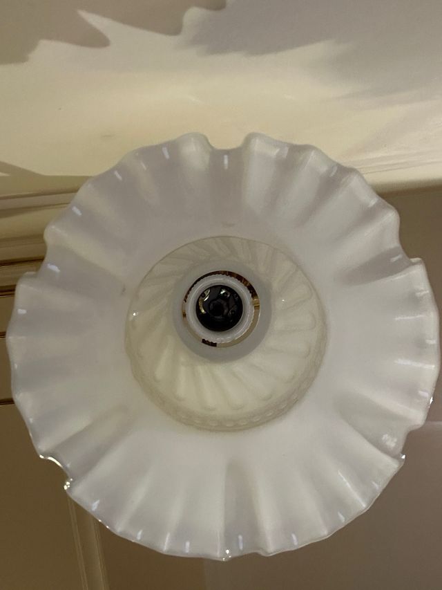 lampara techo con tulipa modernista