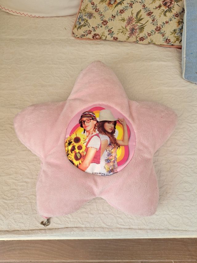 Cojin/album de la serie Patito Feo