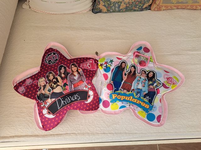 Cojin/album de la serie Patito Feo