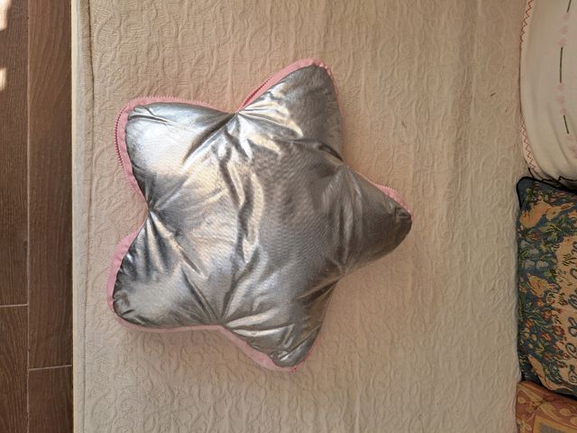 Cojin/album de la serie Patito Feo