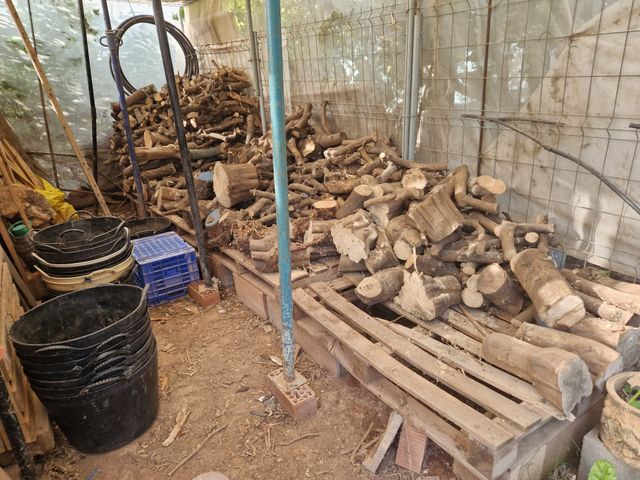 Leña de naranjo seca