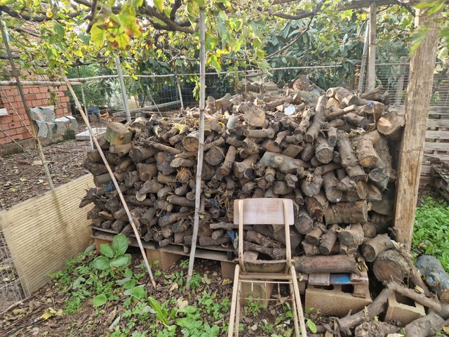 Leña de naranjo seca