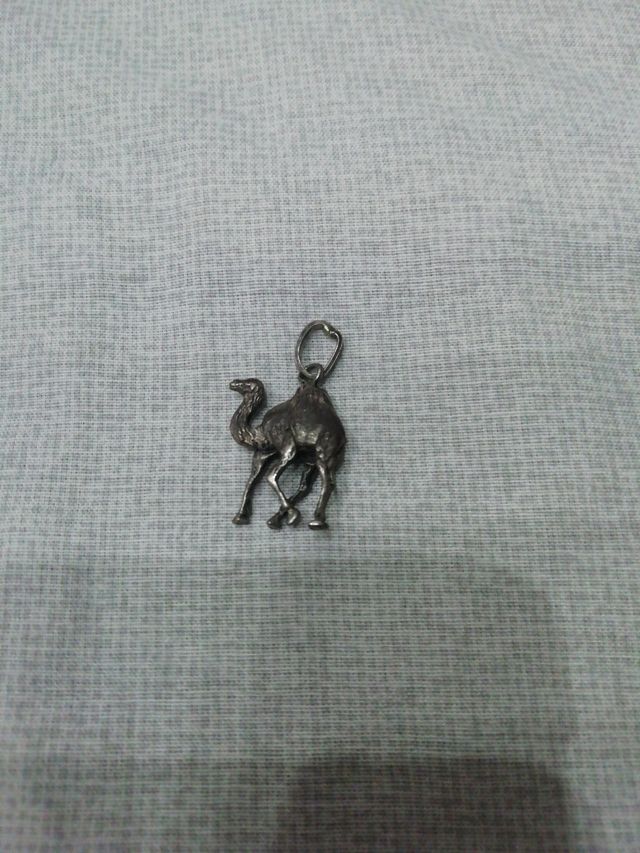 Cammello Tunisia arcento 