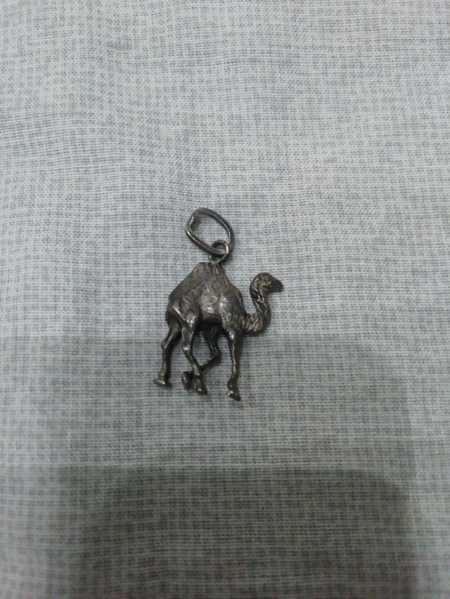 Cammello Tunisia arcento 