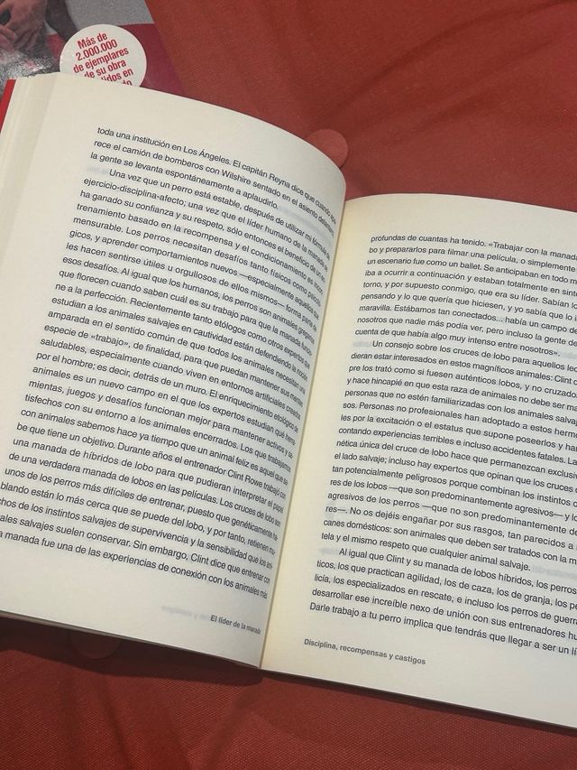 El líder de la manada: Adiestra a tu perro