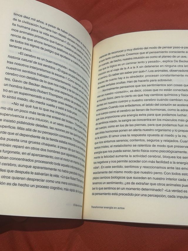 El líder de la manada: Adiestra a tu perro
