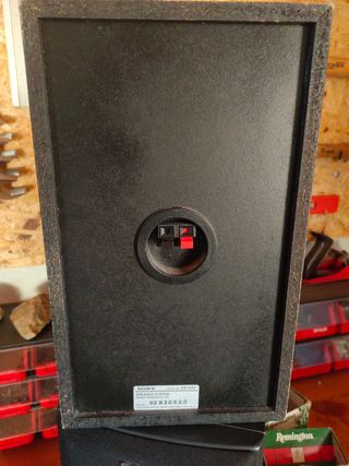 Dos altavoces sony