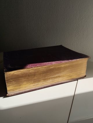 Libro William Shakespeare