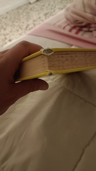 Libro Karina y marina