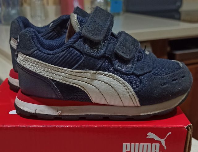 Puma bebe