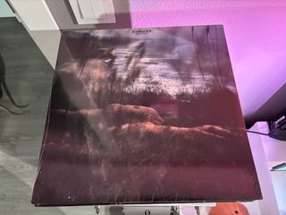 Banquet - Jupiter Rose VINILO