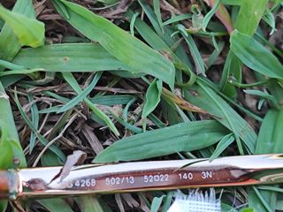 Gafas de sol  como nuevas Dolche Gabbana .