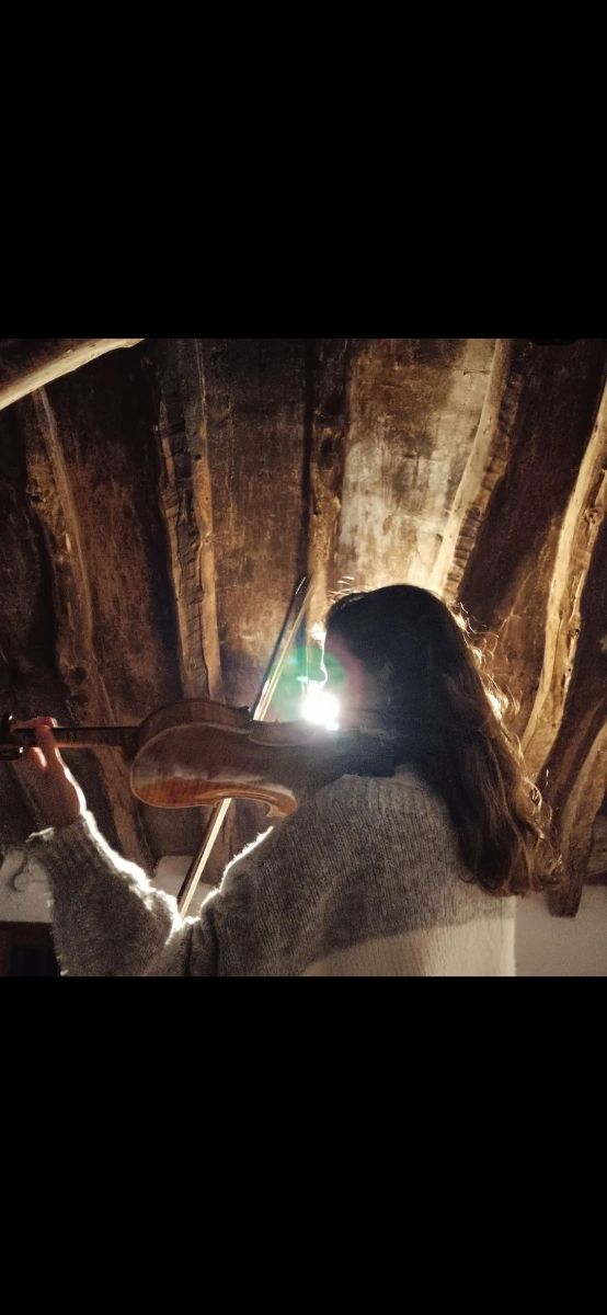 Clases de VIOLÍN a domicilio!