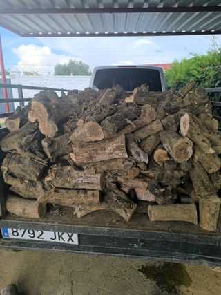 Legno d'ulivo a Jerez e dintorni