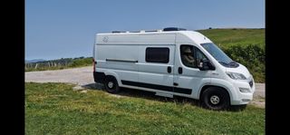 FIAT Ducato 2019