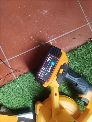 Dewalt 
