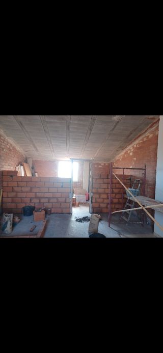 Hola a todos  busco trabajo