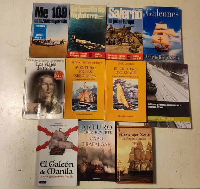 Lote de libros varios