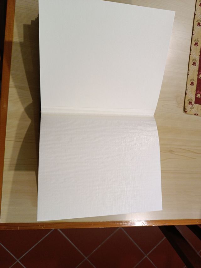 Album portafoto o diario elegante