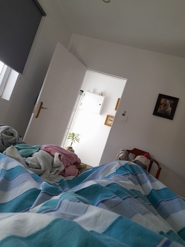 Sapinho de swarovski 