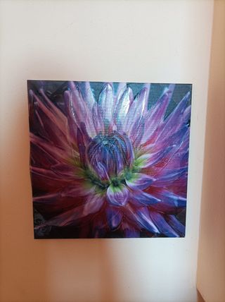 Quadro moderno stampa su tela floreale 