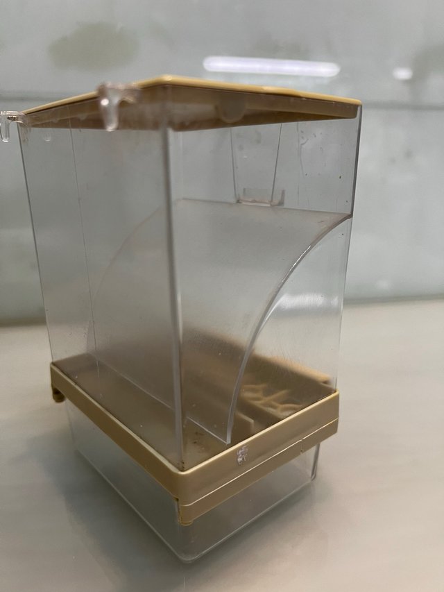 TOLBA  COMEDERO CANARIO