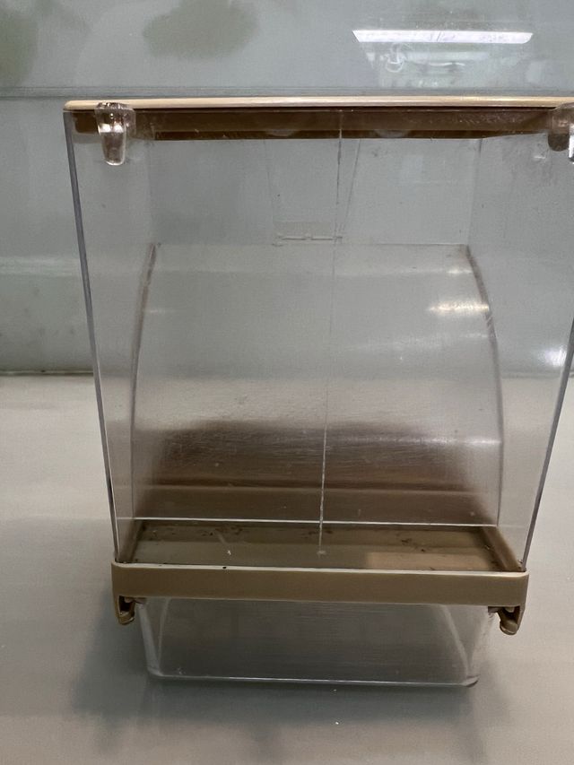 TOLBA  COMEDERO CANARIO