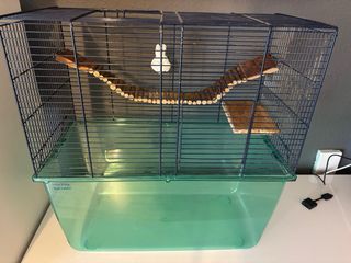 Jaula jerbos o hamster