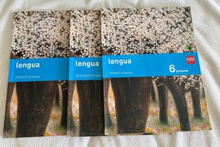Libros lengua 6 primaria