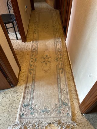 Alfombra del pasillo