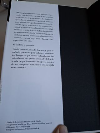 Un perfecto caballero. Novela