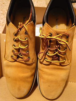 Zapato Timberland 