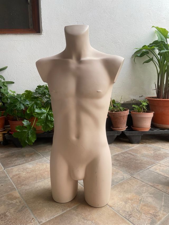Maniquis busto