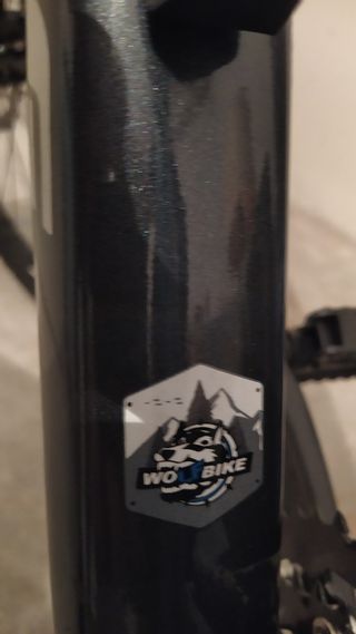 Bicicleta Wolfbike Stygia