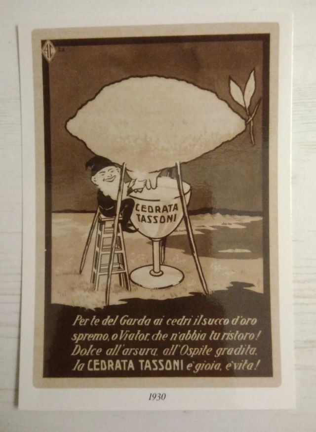 Cartolina promozionale cedrata Tassoni