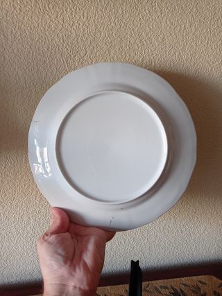 🇨🇳 Plato de porcelana vintage china