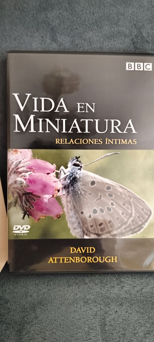 CDs vida en miniatura 