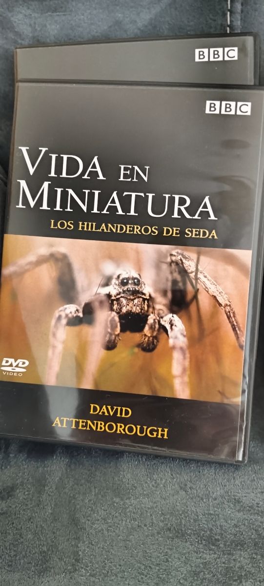 CDs vida en miniatura 