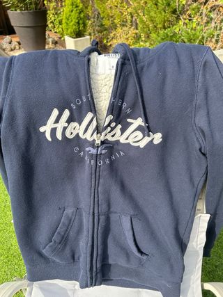 Sudadera Hollister