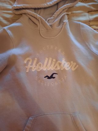 Sudadera Hollister