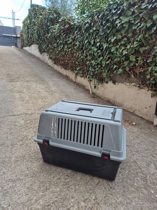 Transportin 