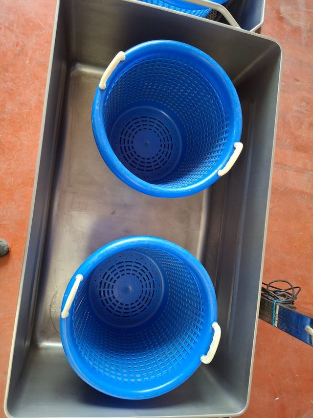 Makina lavar hortalizas