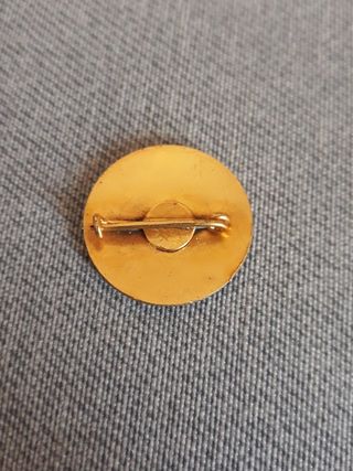 Anigua insignia Seccion Femenina