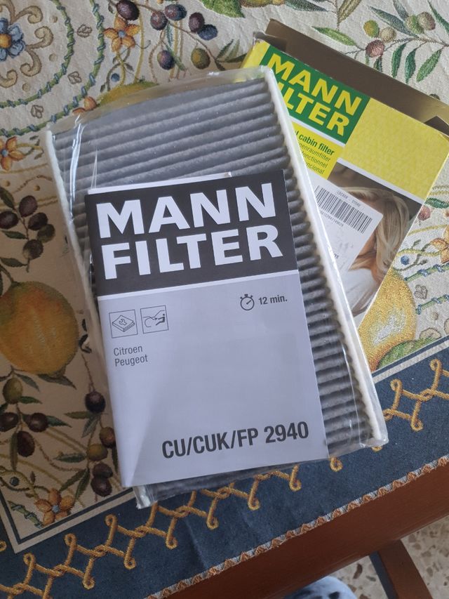 Filtro aria abitacolo auto