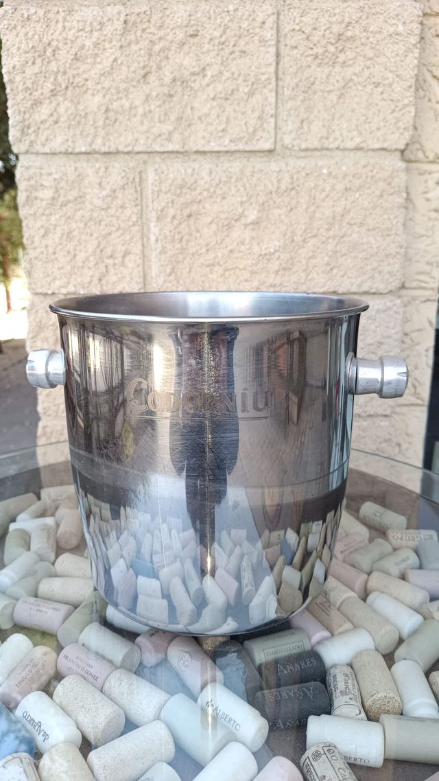 Bottiglia di champagne in acciaio inossidabile,