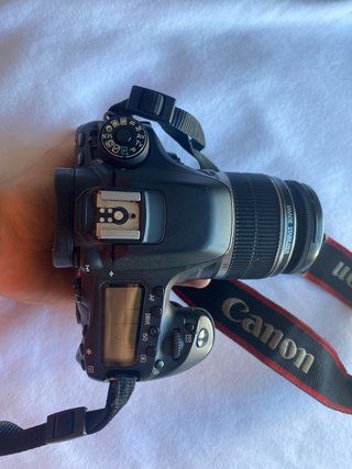 Canon EOS 80D