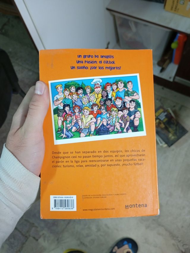 Compañeros de viaje (Serie ¡Gol! 24)