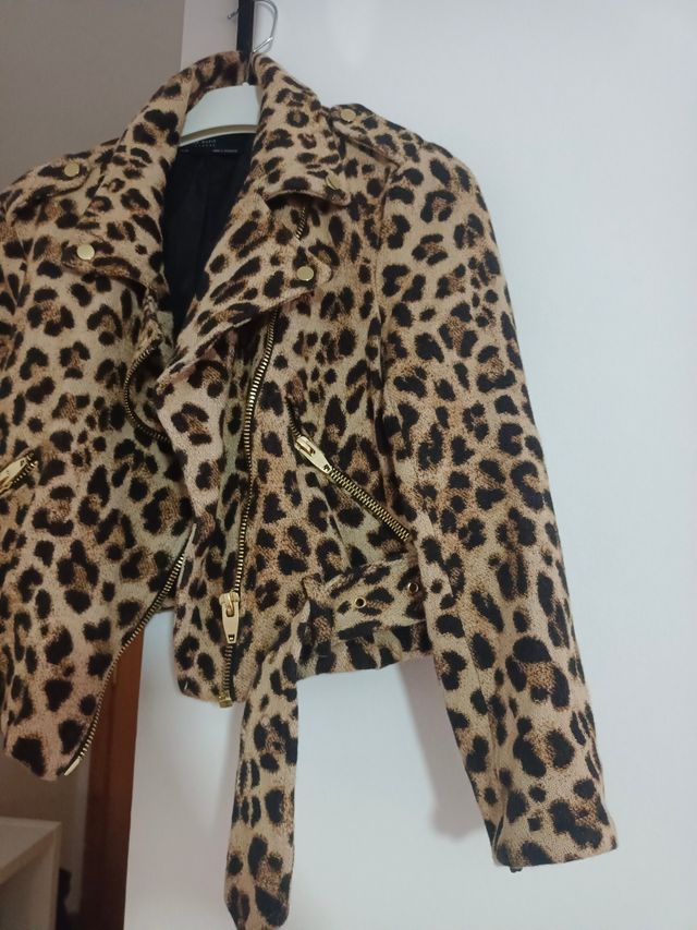 Biker leopardo zara