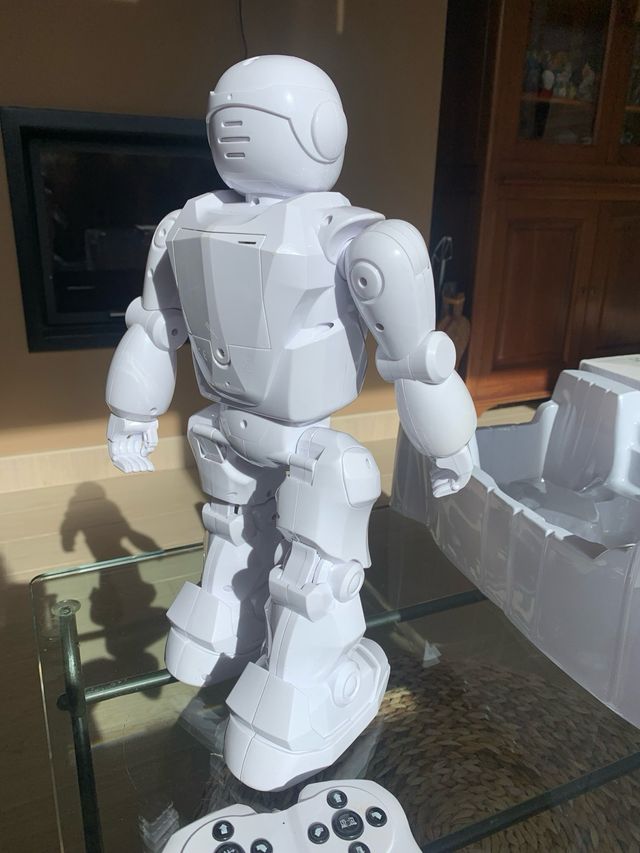 Robot radio control programable