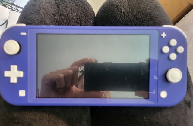 Nintendo switch lite
